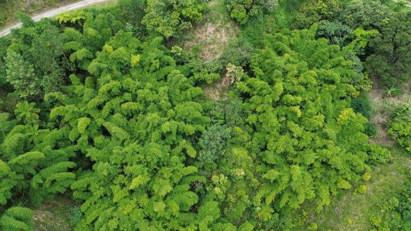 Sixth image of 12 Peter's Rock, St. Andrew in Kingston 8, St. Andrew, Jamaica - property is For Sale