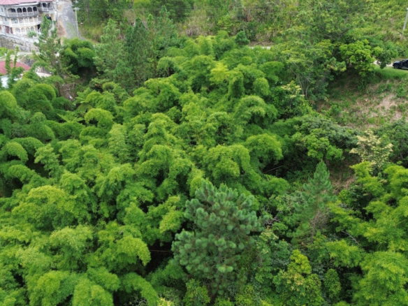 First image of 12 Peter's Rock, St. Andrew in Kingston 8, St. Andrew, Jamaica - property is For Sale