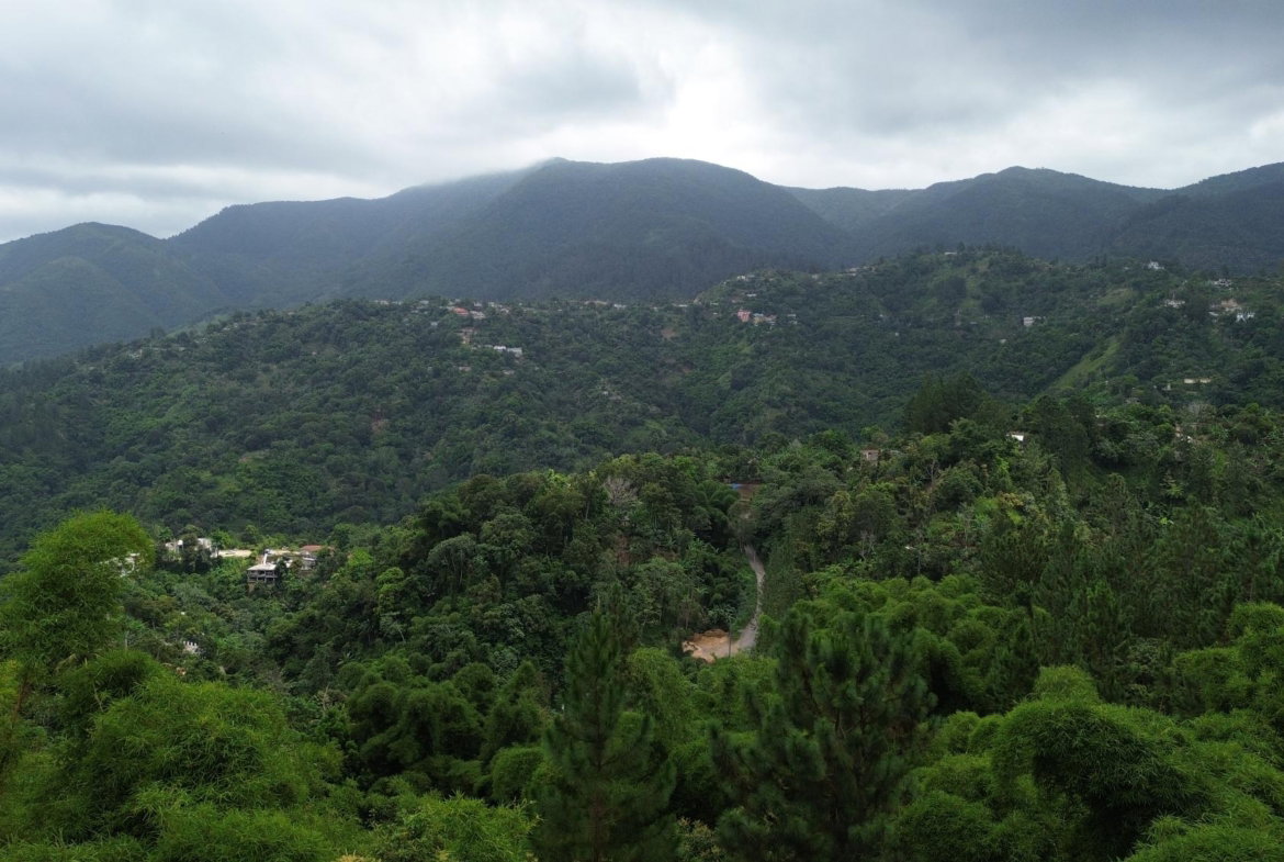 Seventh image of 12 Peter's Rock, St. Andrew in Kingston 8, St. Andrew, Jamaica - property is For Sale