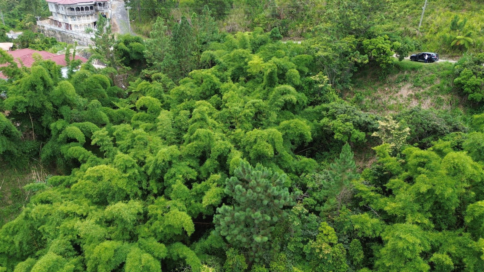 First image of 12 Peter's Rock, St. Andrew in Kingston 8, St. Andrew, Jamaica - property is For Sale