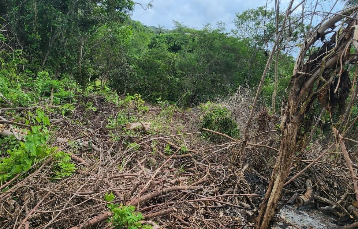 Second image of Lot-5 Pimento Hill, Unity Hall in Unity Hall, St. James, Jamaica - property is For Sale