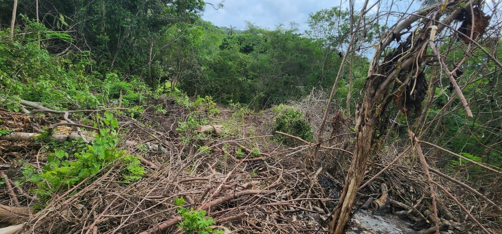 Second image of Lot-5 Pimento Hill, Unity Hall in Unity Hall, St. James, Jamaica - property is For Sale