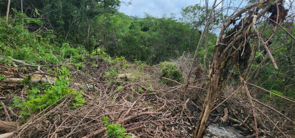 Second image of Lot-5 Pimento Hill, Unity Hall in Unity Hall, St. James, Jamaica - property is For Sale