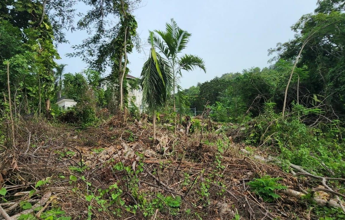 First image of Lot-5 Pimento Hill, Unity Hall in Unity Hall, St. James, Jamaica - property is For Sale