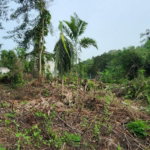 First image of Lot-5 Pimento Hill, Unity Hall in Unity Hall, St. James, Jamaica - property is For Sale