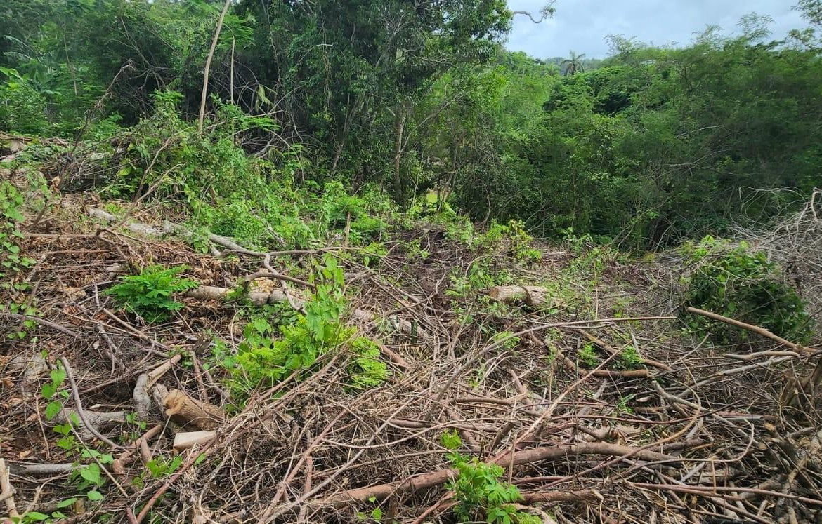 Third image of Lot-5 Pimento Hill, Unity Hall in Unity Hall, St. James, Jamaica - property is For Sale