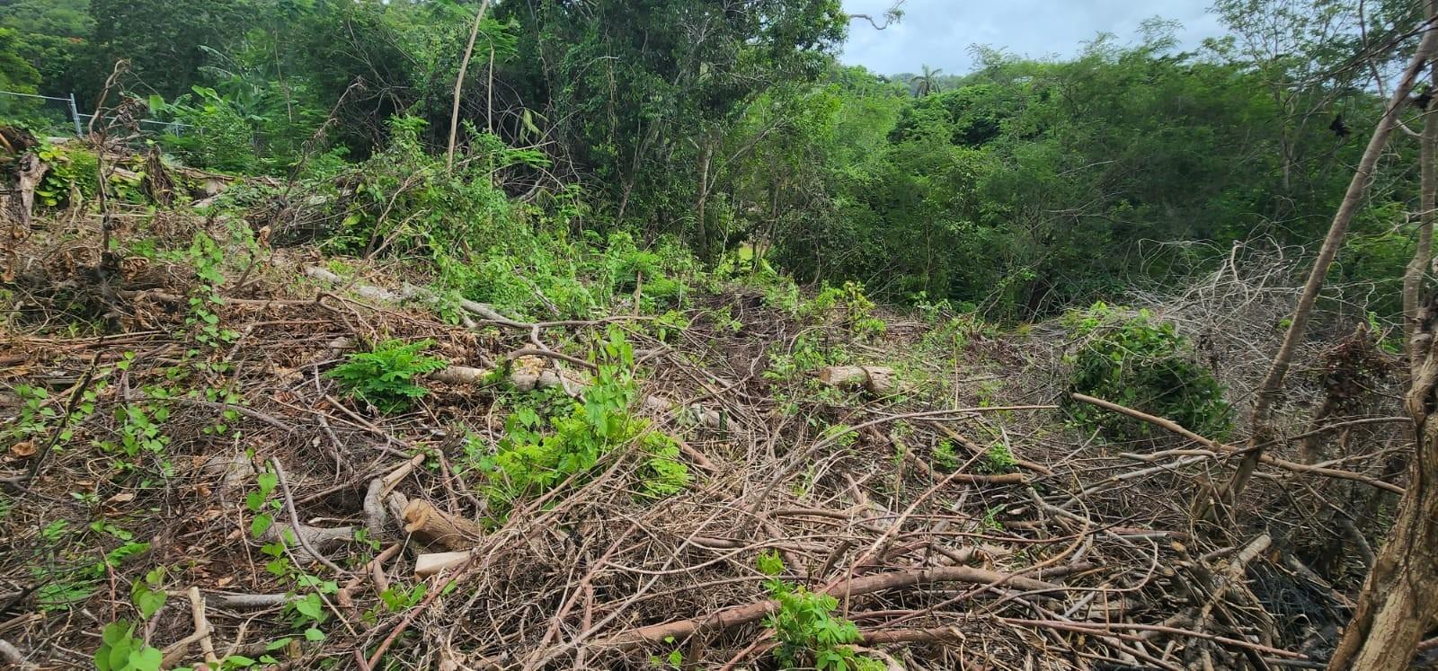 Third image of Lot-5 Pimento Hill, Unity Hall in Unity Hall, St. James, Jamaica - property is For Sale