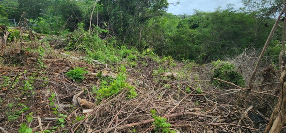 Third image of Lot-5 Pimento Hill, Unity Hall in Unity Hall, St. James, Jamaica - property is For Sale