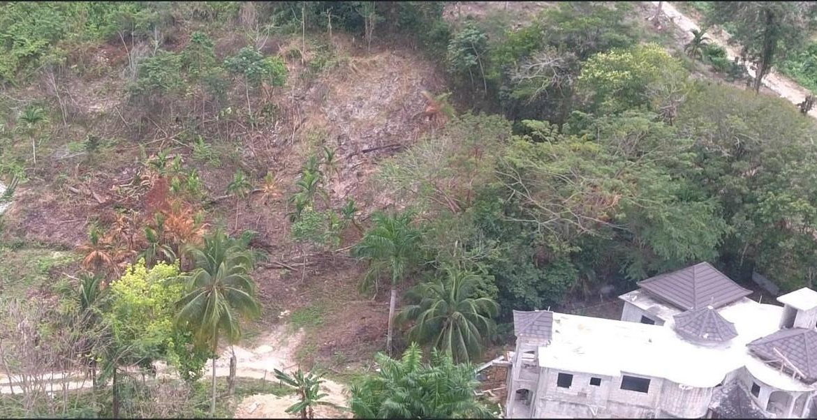 Fourth image of Lot-5 Pimento Hill, Unity Hall in Unity Hall, St. James, Jamaica - property is For Sale