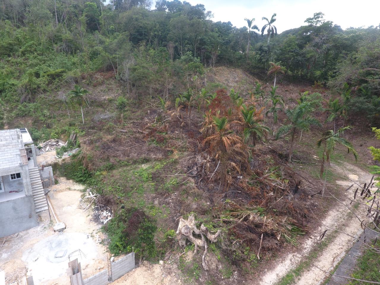 Fifth image of Lot-5 Pimento Hill, Unity Hall in Unity Hall, St. James, Jamaica - property is For Sale