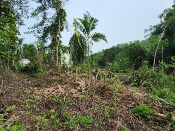 First image of Lot-5 Pimento Hill, Unity Hall in Unity Hall, St. James, Jamaica - property is For Sale