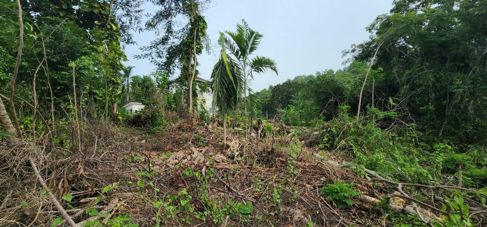 First image of Lot-5 Pimento Hill, Unity Hall in Unity Hall, St. James, Jamaica - property is For Sale