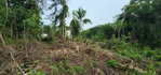 First image of Lot-5 Pimento Hill, Unity Hall in Unity Hall, St. James, Jamaica - property is For Sale