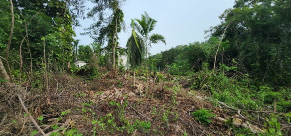 First image of Lot-5 Pimento Hill, Unity Hall in Unity Hall, St. James, Jamaica - property is For Sale