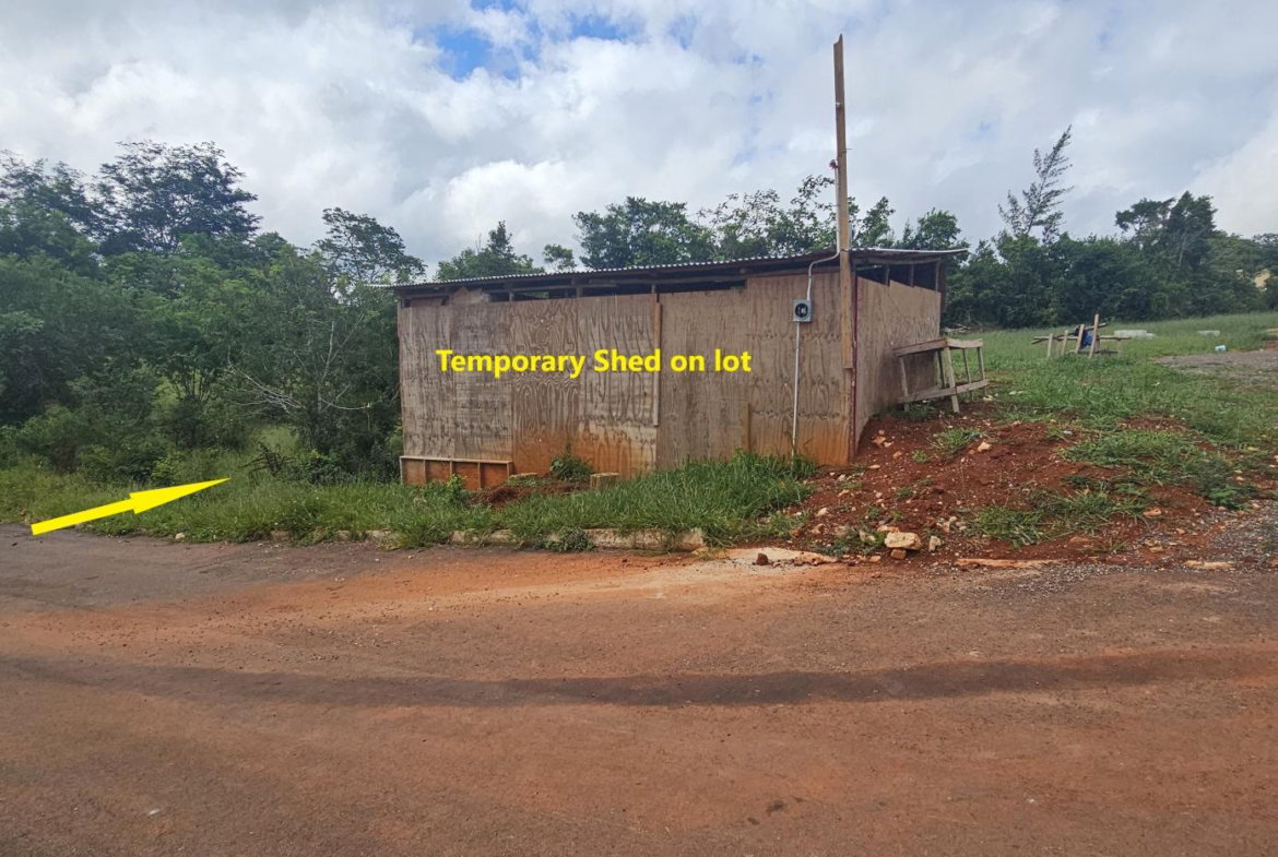 Eighth image of Lot 5 Pine Grove in Dalys Grove, Manchester, Jamaica - property is For Sale