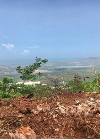 Sixth image of Plantation Drive in Red Hills, St. Andrew, Jamaica - property is For Sale