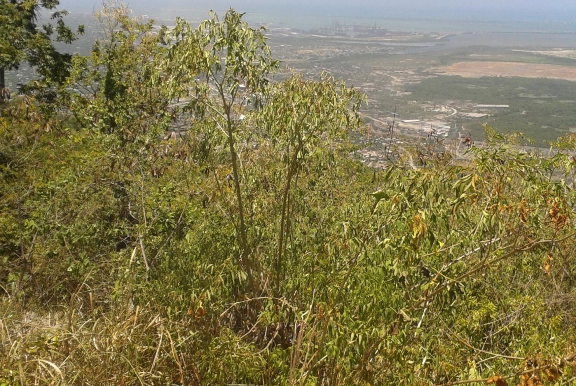 Second image of Plantation Heights in Kingston 19, St. Andrew, Jamaica - property is For Sale