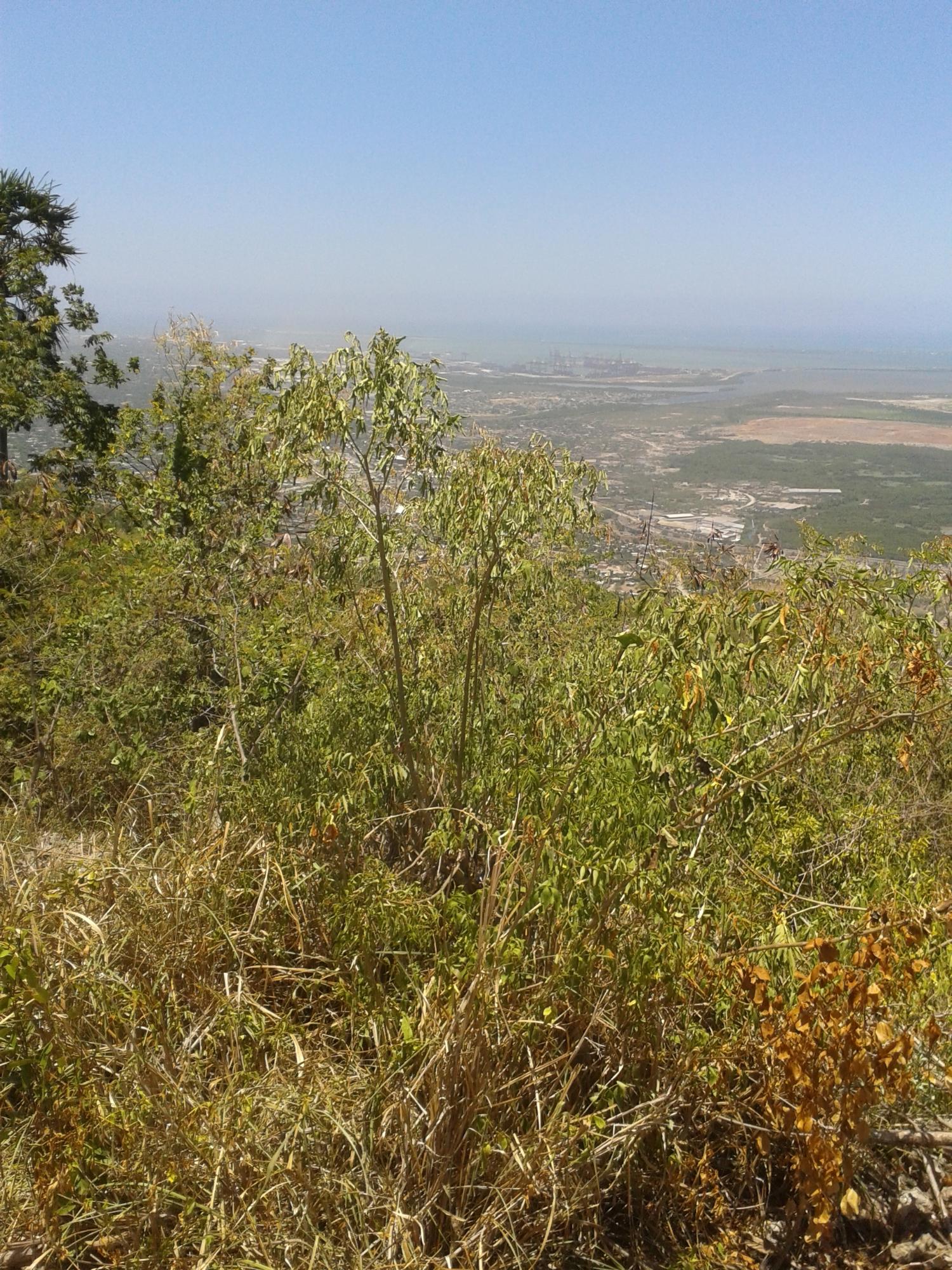 Second image of Plantation Heights in Kingston 19, St. Andrew, Jamaica - property is For Sale