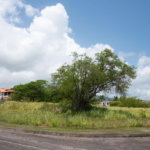First image of Lot 254- Breadfruit St. in Plantation Village, St. Ann, Jamaica - property is For Sale
