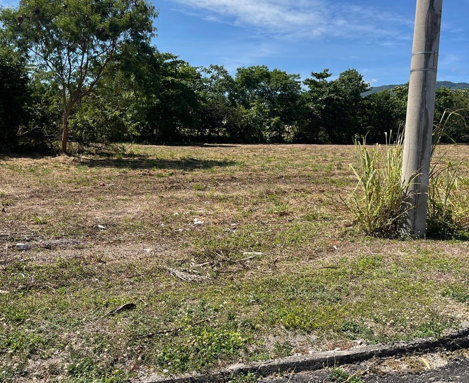 Fifth image of 348 Cedar Avenue, Plantation in Plantation Village, St. Ann, Jamaica - property is For Sale