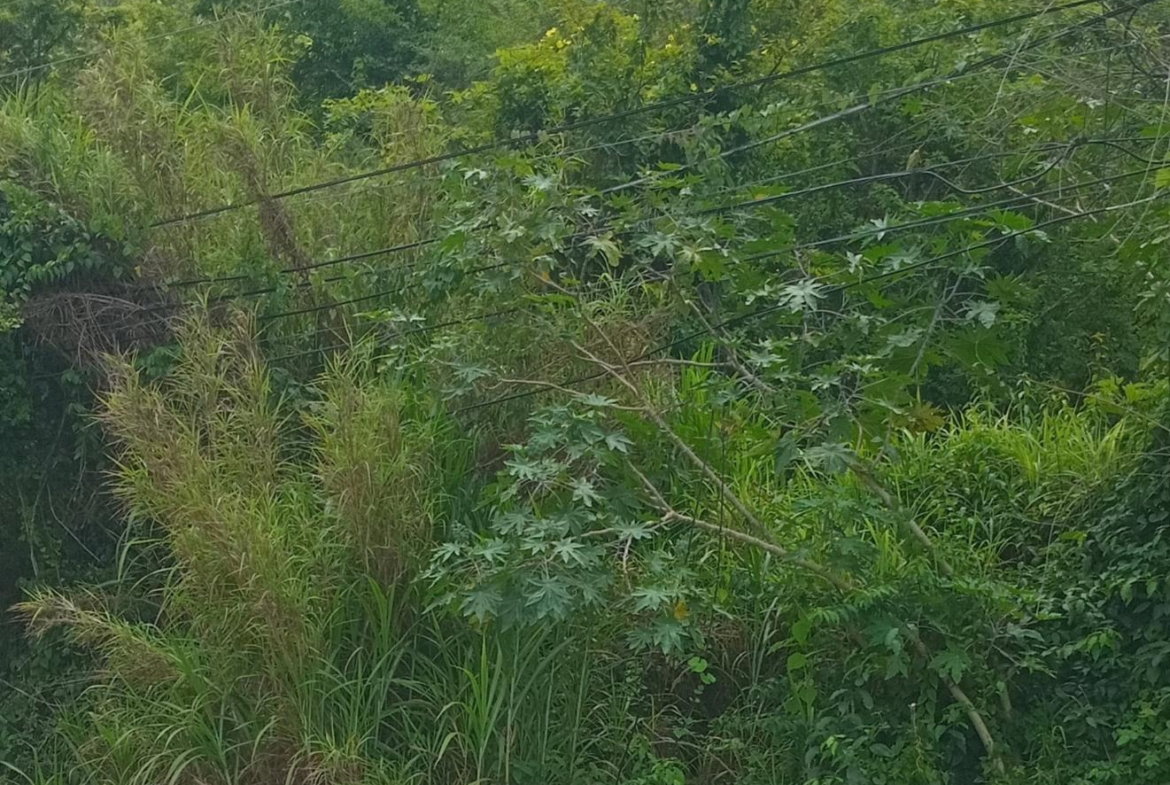 Second image of Lot#-564 Porto Bello Drive in Montego Bay, St. James, Jamaica - property is For Sale