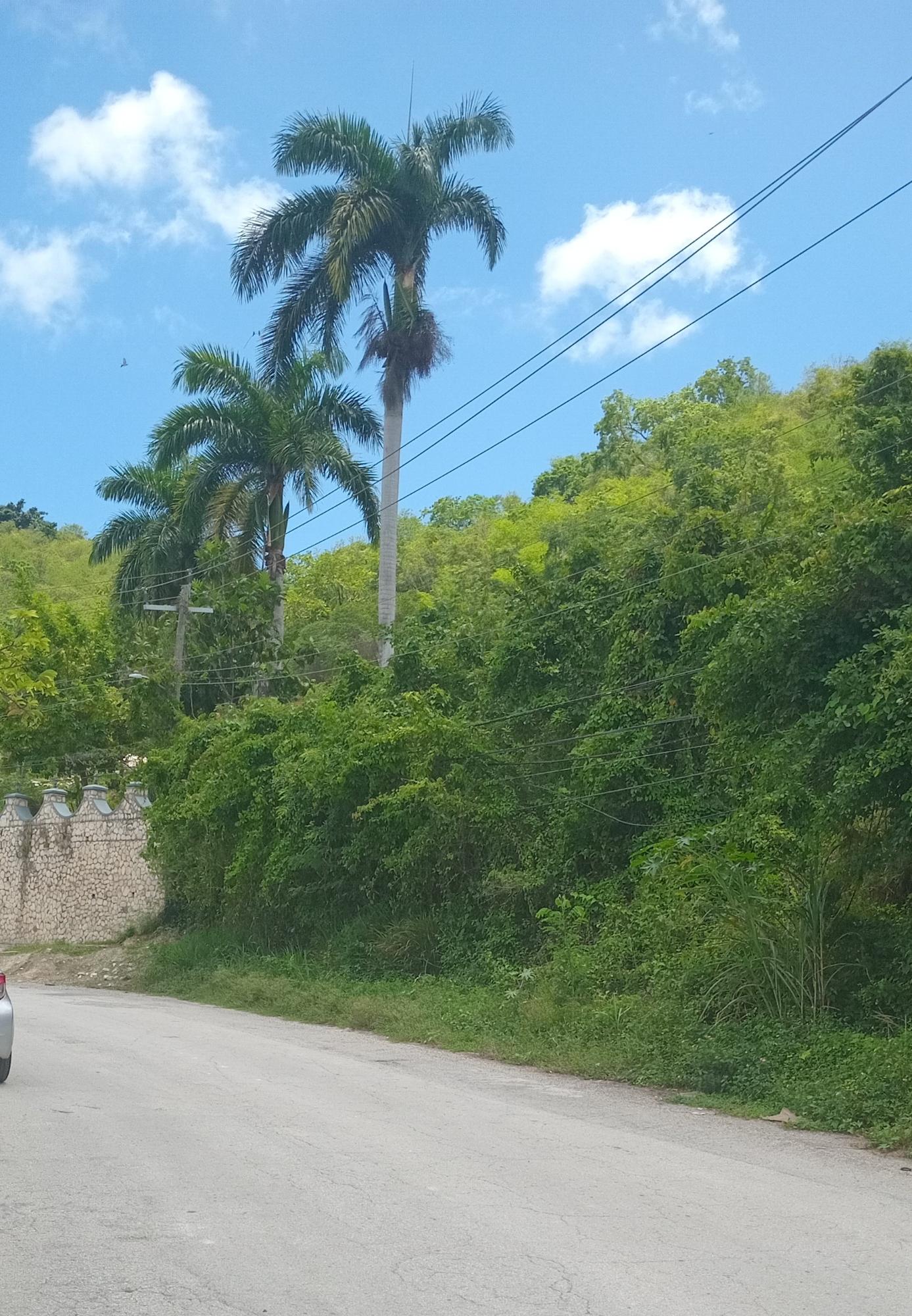 First image of Lot#-564 Porto Bello Drive in Montego Bay, St. James, Jamaica - property is For Sale