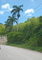 First image of Lot#-564 Porto Bello Drive in Montego Bay, St. James, Jamaica - property is For Sale