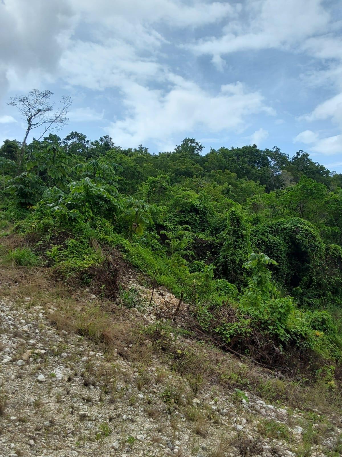 Fourth image of Lot 5- Ramble Hill in Gordons Crossing, St. James, Jamaica - property is For Sale
