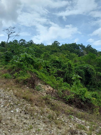 Fourth image of Lot 5- Ramble Hill in Gordons Crossing, St. James, Jamaica - property is For Sale