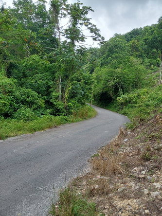 Fifth image of Lot 5- Ramble Hill in Gordons Crossing, St. James, Jamaica - property is For Sale