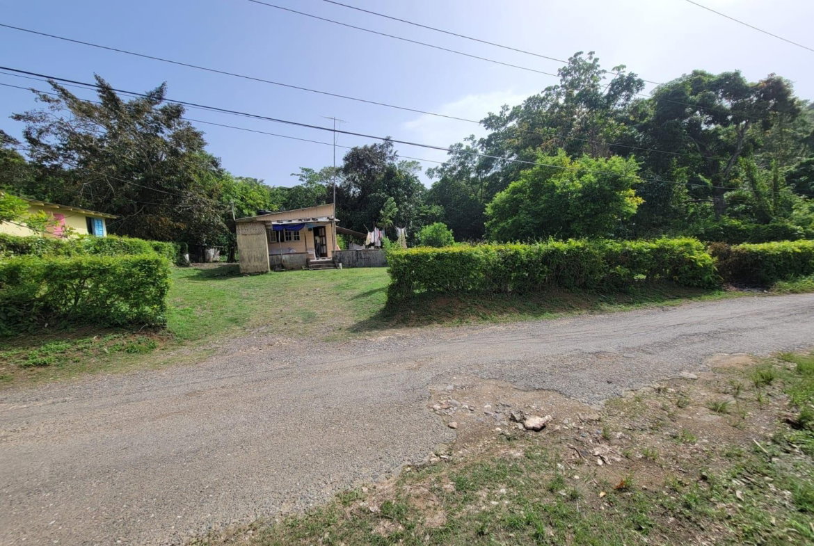 Second image of Roadside District, Isling in Islington, St. Mary, Jamaica - property is For Sale