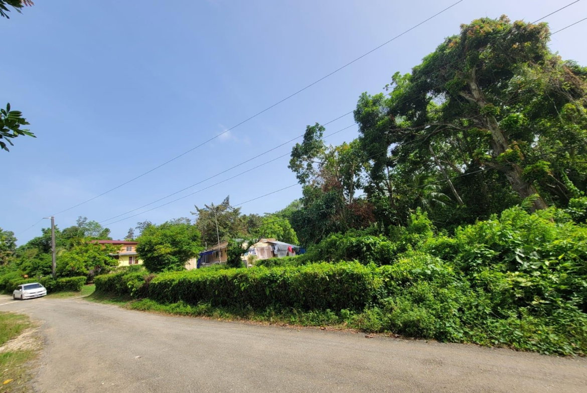 First image of Roadside District, Isling in Islington, St. Mary, Jamaica - property is For Sale