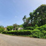 First image of Roadside District, Isling in Islington, St. Mary, Jamaica - property is For Sale