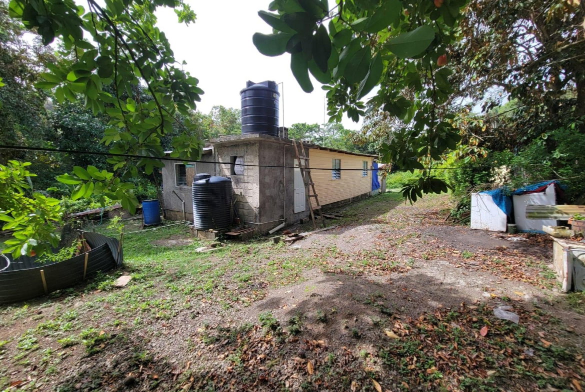 Third image of Roadside District, Isling in Islington, St. Mary, Jamaica - property is For Sale