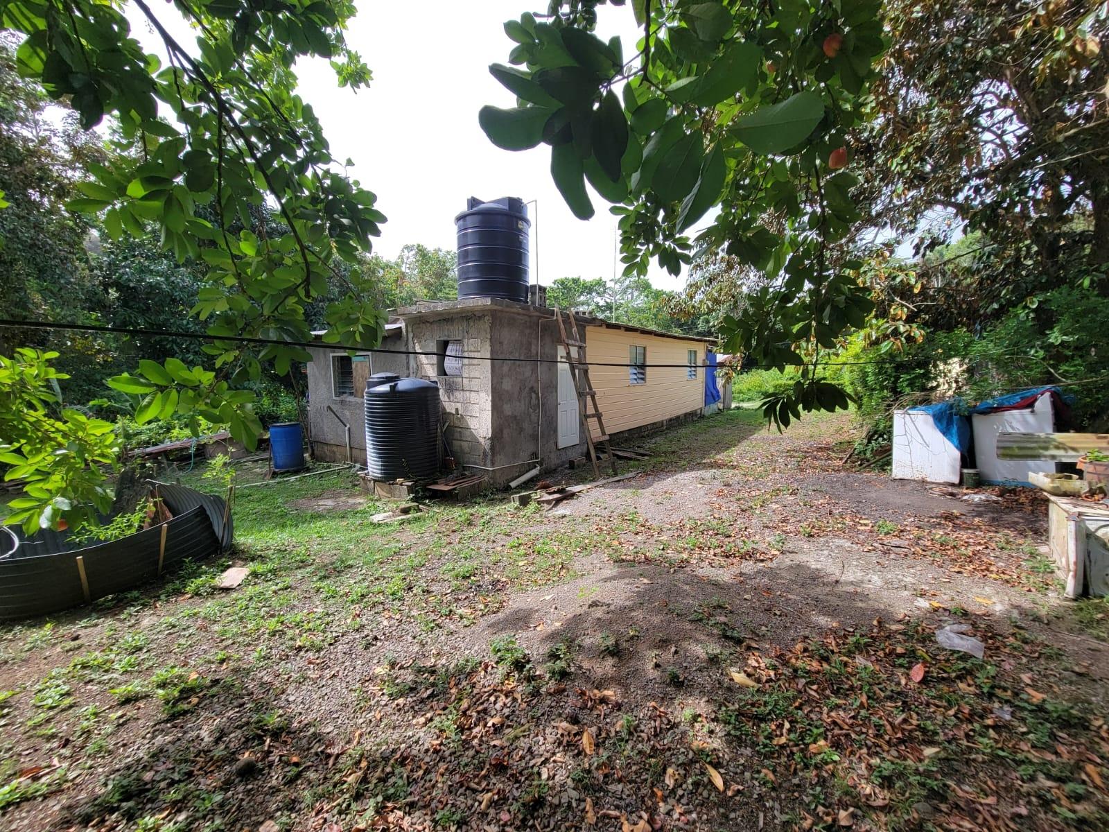 Residential-Lot-for-Sale-in-Roadside-District-Isling-St.-Mary-Jamaica Third image of Roadside District, Isling in Islington, St. Mary, Jamaica - property is For Sale