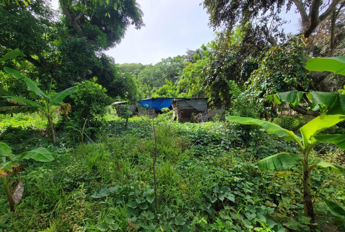 Fourth image of Roadside District, Isling in Islington, St. Mary, Jamaica - property is For Sale