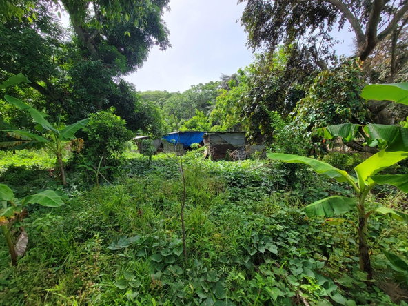 Fourth image of Roadside District, Isling in Islington, St. Mary, Jamaica - property is For Sale
