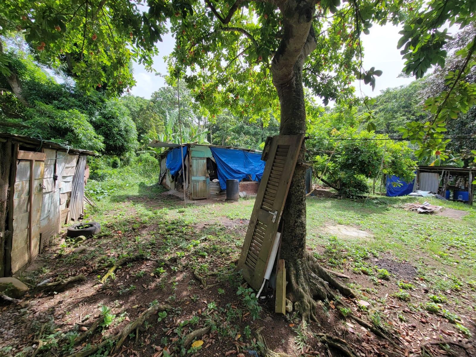 Residential-Lot-for-Sale-in-Roadside-District-Isling-St.-Mary-Jamaica Sixth image of Roadside District, Isling in Islington, St. Mary, Jamaica - property is For Sale