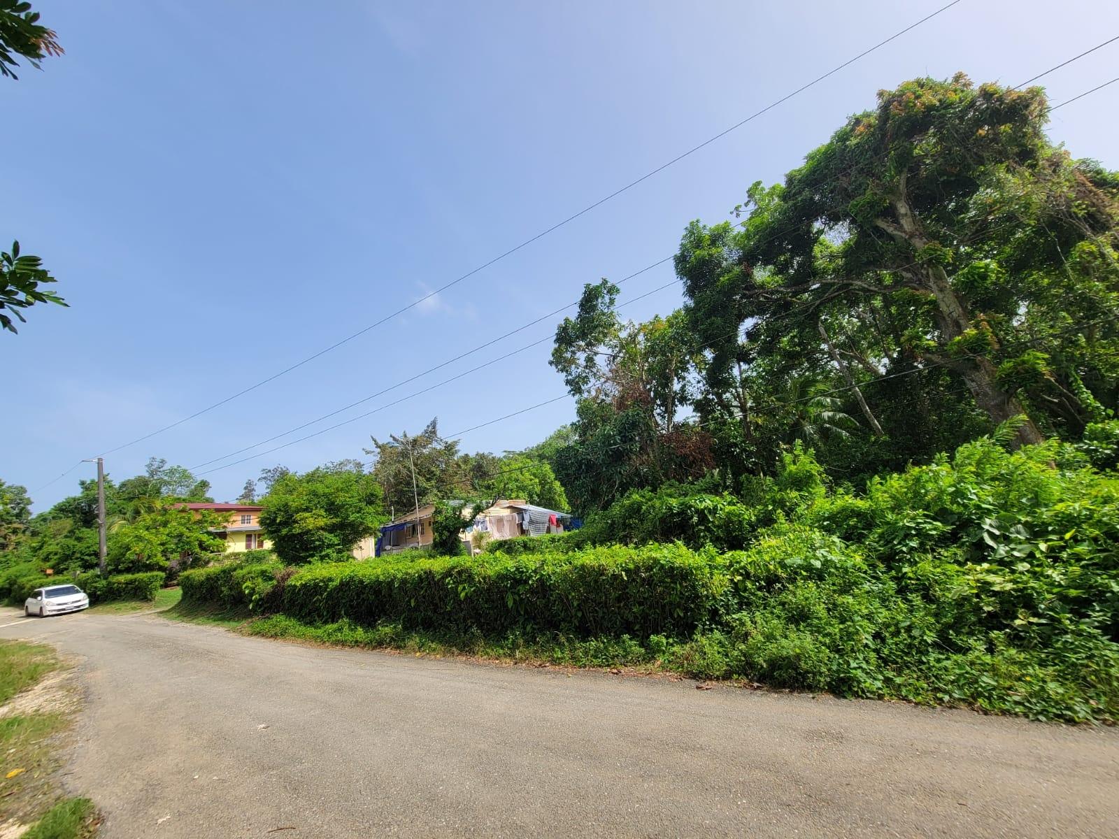 Residential-Lot-for-Sale-in-Roadside-District-Isling-St.-Mary-Jamaica First image of Roadside District, Isling in Islington, St. Mary, Jamaica - property is For Sale