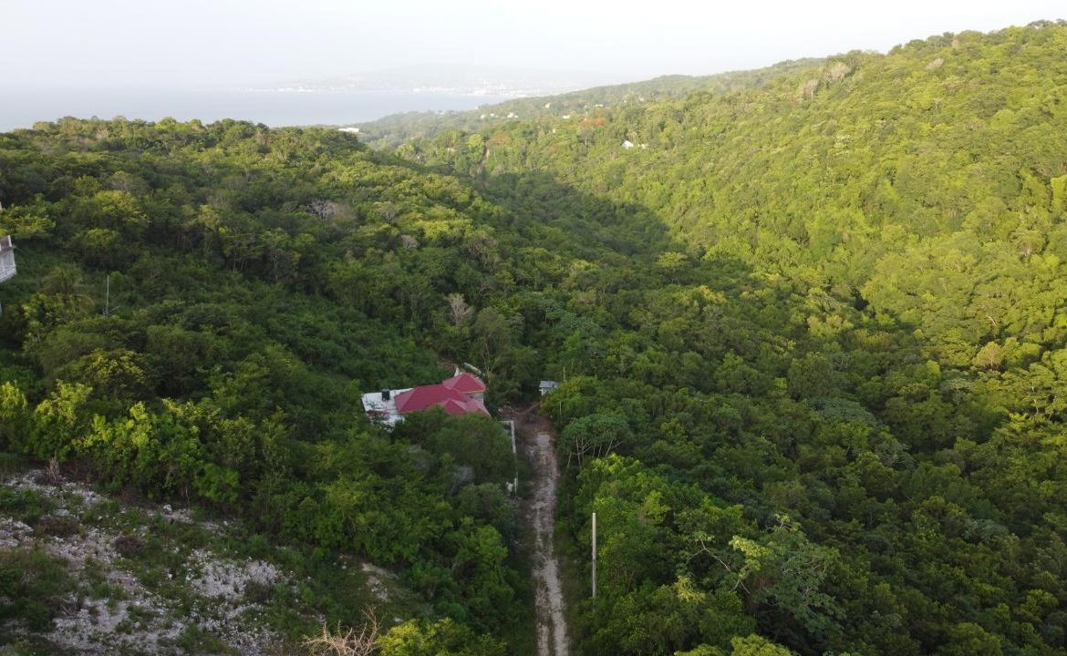 Eleventh image of Seaview, Hopewell in Hopewell, Hanover, Jamaica - property is For Sale