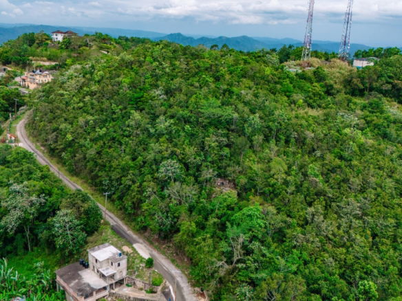 First image of 63 Cooper's Hill in Red Hills, St. Andrew, Jamaica - property is For Sale