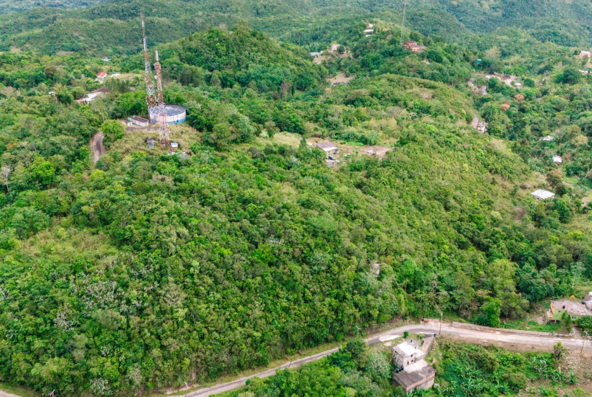 Ninth image of 63 Cooper's Hill in Red Hills, St. Andrew, Jamaica - property is For Sale