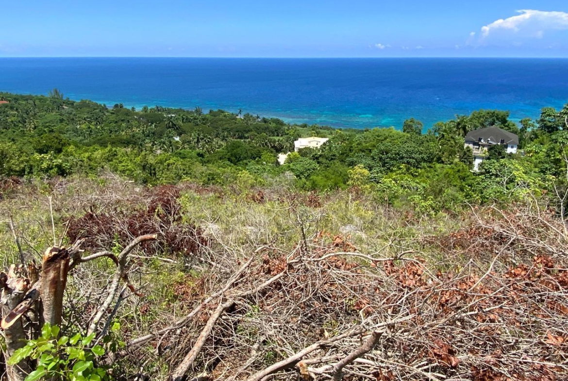 First image of Lot 199 Spring Gardens in Spring Garden, St. James, Jamaica - property is For Sale