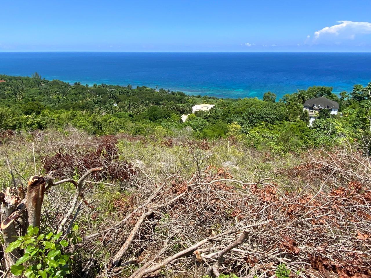 Residential-Lot-for-Sale-in-Spring-Gardens-Montego-Bay-St.-James-Jamaica First image of Lot 199 Spring Gardens in Spring Garden, St. James, Jamaica - property is For Sale