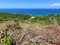 First image of Lot 199 Spring Gardens in Spring Garden, St. James, Jamaica - property is For Sale