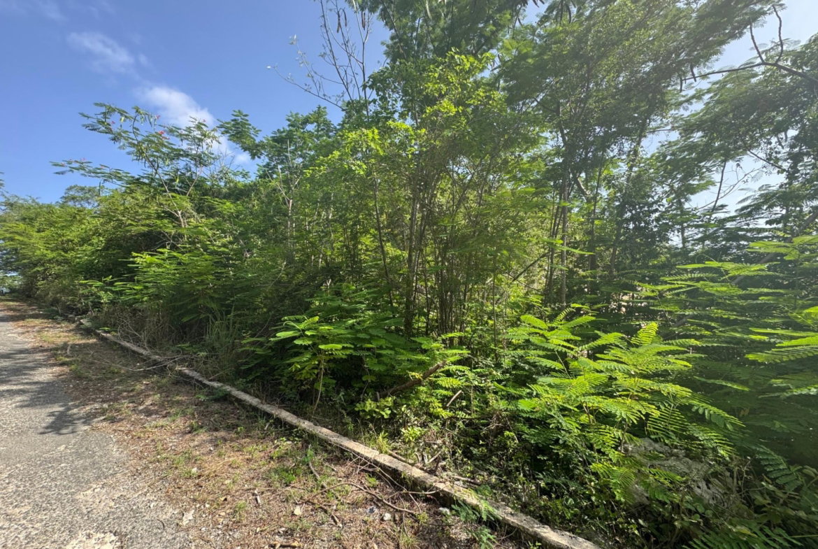 Seventh image of 14 st Jago Drive in Spanish Town, St. Catherine, Jamaica - property is For Sale