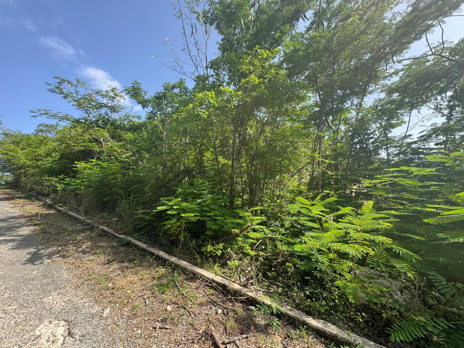 Seventh image of 14 st Jago Drive in Spanish Town, St. Catherine, Jamaica - property is For Sale