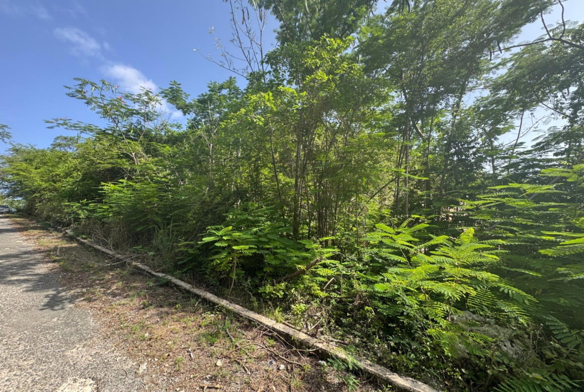Eighth image of 14 st Jago Drive in Spanish Town, St. Catherine, Jamaica - property is For Sale