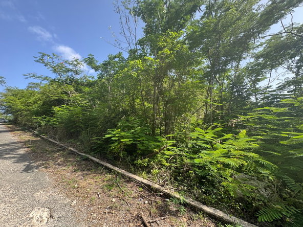 Eighth image of 14 st Jago Drive in Spanish Town, St. Catherine, Jamaica - property is For Sale