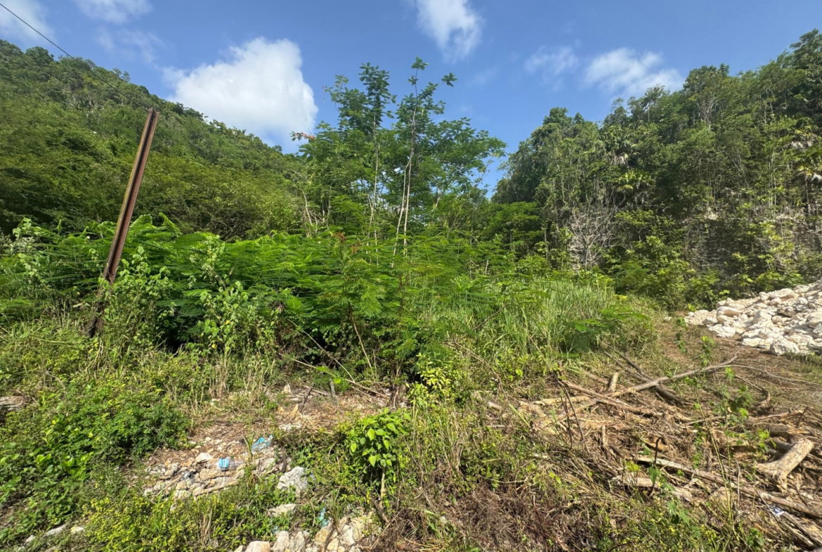 Ninth image of 14 st Jago Drive in Spanish Town, St. Catherine, Jamaica - property is For Sale